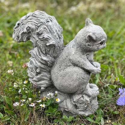 Concrete Squirrel Statue for Garden Stone Squirrel Ornament Figurine for Squirrel Lover Garden Animal Sculpture