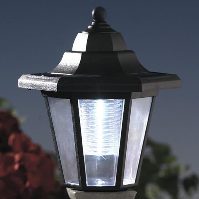 Bits and Pieces - Solar Dog Lantern-Solar Powered Garden Lantern - Resin Dog Sculpture with LED Light (Bichon) - 13.5" Tall