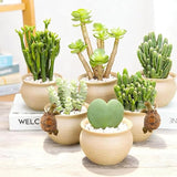 Turtle Statue Tortoise Figurine Plant Pot Hanger, Mini Climbing Turtle Ornament Garden Decor, Resin Cute Tortugas Ornament Desk Decor for Bonsai Succulents Aquariums