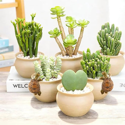 Turtle Statue Tortoise Figurine Plant Pot Hanger, Mini Climbing Turtle Ornament Garden Decor, Resin Cute Tortugas Ornament Desk Decor for Bonsai Succulents Aquariums