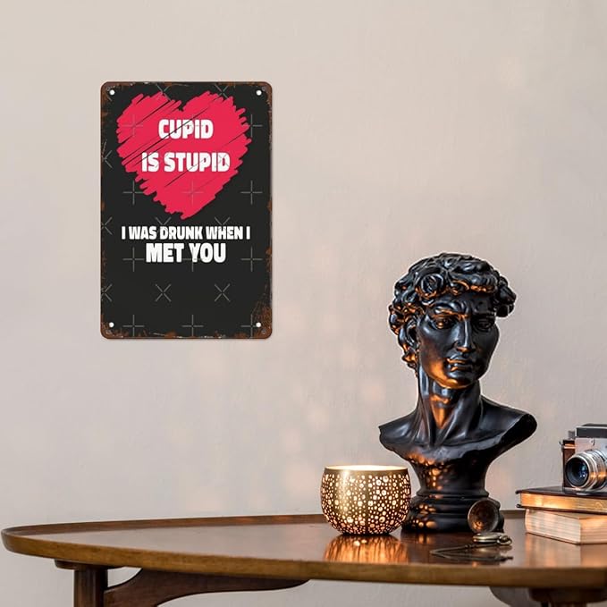 Retro Tin Signs Is Stupid I Was Drunk 8x12 Inches Metal Wall Decor for Garden,Kitchen,Living Room,Patio,Office,Bathroom,and More! Vintage Funny Sign