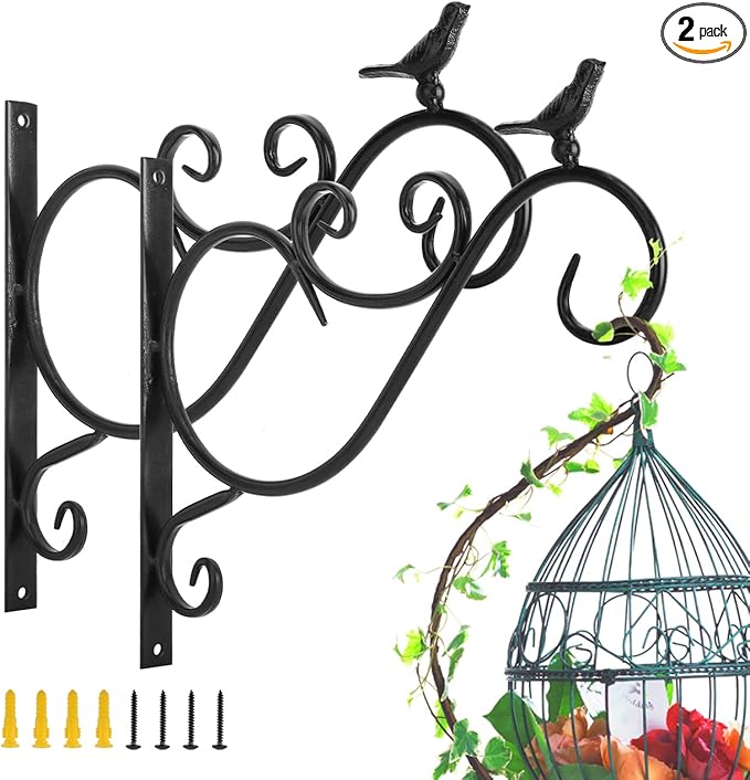Lewondr Wall Hanging Plant Bracket, 2 Pack 12-inch Retro Iron Shepard Hook for Flower Bird Feeder Planter Indoor Outdoor, Bird 01 - Spray Paint Black