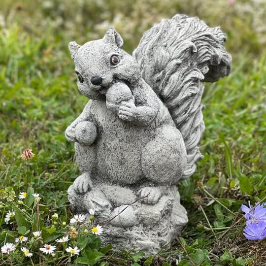 Concrete Squirrel Statue for Garden Stone Squirrel Ornament Figurine for Squirrel Lover Garden Animal Sculpture