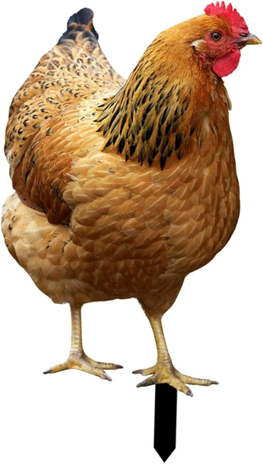 Hen Statue Garden Stake Animal Sculpture Lifelike Lawn Sign Metal Realistic Yard Art Chicken Figurine Ground Insert for Floor, 31.5x17.4x0.1cm