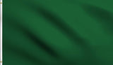 DMSE Solid Dark Green Flag, 2x3 Flag, UV Resistant, Fade Resistant Material with Metal Grommets (2ft x 3ft), (Polyester), (Dark Green)