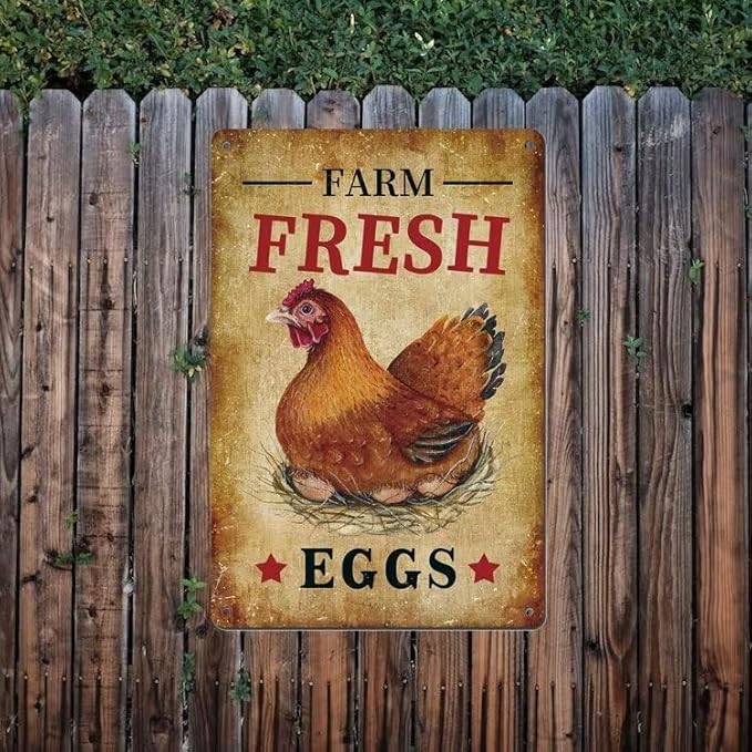 Chicken Tin Signs Farm Fresh Eggs Sign Vintage Country Chicken Hen Rooster Tin Signs Store Market Country Farm Barn Outdoor Wall Decor 8x12 Inch
