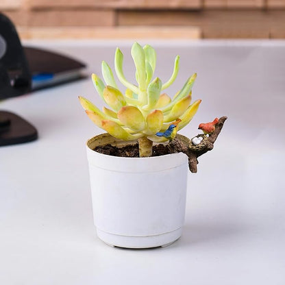 2Pcs Mini Brid Figurines Plant Pot Hang Decor Resin Bird's Nest Sculpture Decoration for Succulent Cactus Pots