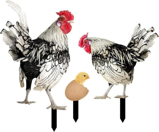 3Pcs Chicken Decorative Garden Stakes Yard Art Decor Outdoor Decoration Acrylic Ornaments Animal Stakes for Landscape Outside