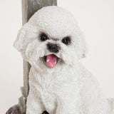 Bits and Pieces - Solar Dog Lantern-Solar Powered Garden Lantern - Resin Dog Sculpture with LED Light (Bichon) - 13.5" Tall