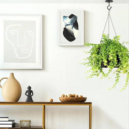 4 Pcs Black Ceiling Hooks for Hanging Plants Holder with Safety Buckle,Ceiling Decor Hook Heavy Duty,Metal Plant Hanger Indoor&Outdoor.Hooks for Hanging Plants,Wind Chime,Bird Feeders (Black)