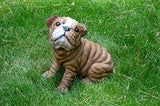 Bully Bulldog Puppy M by Michael Carr Designs - Outdoor Puppy Dog Figurine for Gardens, patios and lawns (80106)