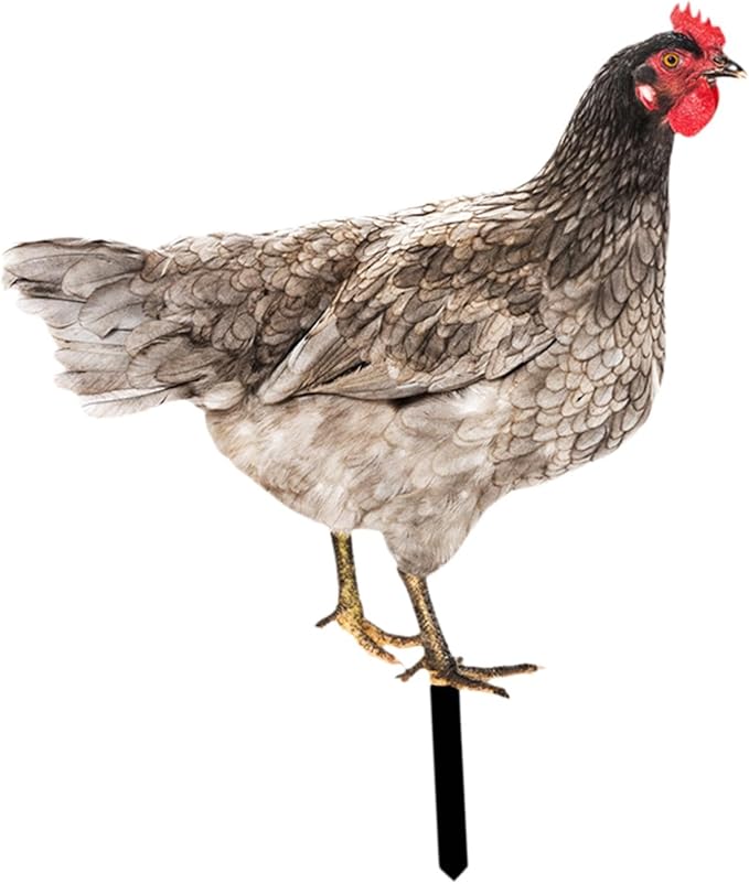 Rooster Yard Stake Hen Lawn Ornament Gift Chicken Garden Statue Figurine for Hallway Farmhouse Entryway Birthday Thanksgiving, Style B