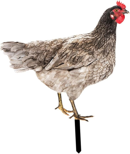 Rooster Yard Stake Hen Lawn Ornament Gift Chicken Garden Statue Figurine for Hallway Farmhouse Entryway Birthday Thanksgiving, Style B