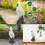 Decorative Parrot Garden Statue, Garden Decor Sculptures Statues Outdoor, Cockatoo Bird Tropical Indoor Desk Decor, Yellow White, 14.96 inches high