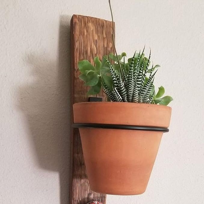Sivya 6 Pack 5in Flower Pot Holder Ring Wall Mounted Metal Planter Hooks Hangers (6, 5")