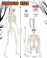 5 Pack Posable Skeleton Halloween Decorations, 16in Halloween Skeleton Decor- Full Body Movable Joints with 22 Spiders & Cobweb, Outdoor/Indoor Scary Party Graveyard Props Hanging Skeletons