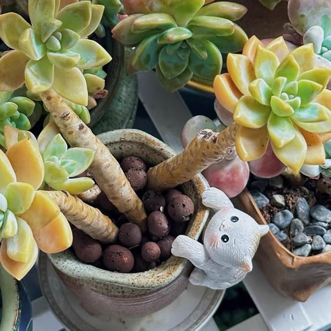 4pcs Climbing Cat Statues For Planter, Cute Animal Figurines Plant Decorations For Pots Vase Fish Tank, Indoor Outdoor Flower Pot Hanging Ornament, Fairy Garden Accessories Décor, Gift For Plant Lover