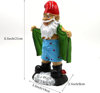 Tirifer 8.3inch/21cm Big Size Garden Gnome, Funny Outdoor Indoor Statue Gnome for Patio Lawn Garden Yard, Resin Naughty Dwarf Sculpture Art Decoration Unique Gift for Yard Balcony Porch Housewarming