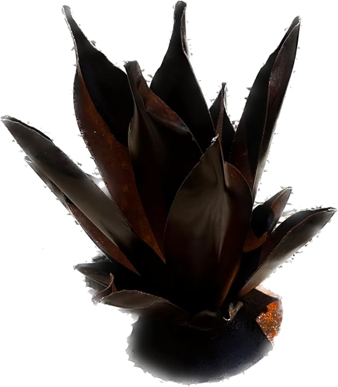Handmade Rusted Metal Flame Agave Sculpture – Garden Art for Patio or Yard Decor (Small (11"))