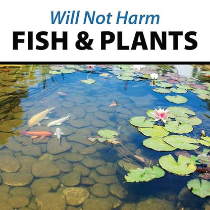 CrystalClear PondShock Ball, Natural Enzymes & Live Bacteria, Freshwater Clarifier Shock Treatment, Muck & Sludge Remover for Small Pond & Outdoor Water Garden Ponds, Koi Fish & Aquatic Plants Safe