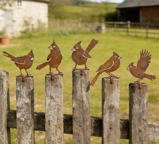 Geila 5PCS Rusty Birds Decoration, Fence Decorations Outdoor, Metal Birds Yard Decor Perfect Yard Art and Large Outdoor Ornaments