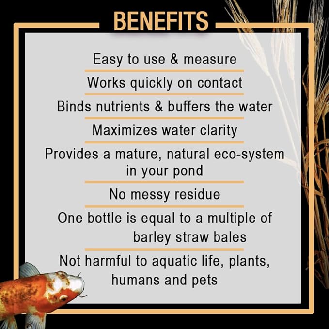 MICROBE-LIFT MLCBSE500 Concentrated Barley Straw Extract Conditioner for Ponds and Outdoor Water Garden, Safe for Live Koi Fish, Plants, and Decorations, 16 Ounces