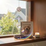 Pet Memorial Gifts for Cats Dogs: Round Ball Crystal Sun Catcher Remembrance Ornament, Cat Memorial Gifts for Loss of Cat, Rainbow Bridge Dog Passing Away Bereavement Pet Loss Sympathy Gift