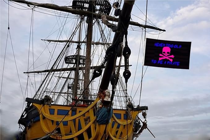 To Be A Pirate 3D Boat Flag 12X18Inch, Pink Skull Never Too Old Flags, Double-Sided 3Ply, Funny Meme Flags, Men Women Banner, Fade Proof Vivid Color, Double Stitched with 2 Brass Grommets, Bar Garden Street Decoration, GYM, Office Decor,Indoor Outdoor ...