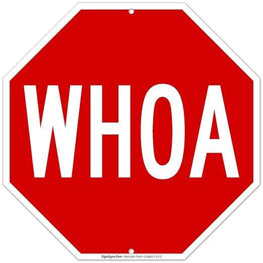 Whoa, 12x12 Inches, Rust Free .040 Aluminum, Fade Resistant, Made in USA