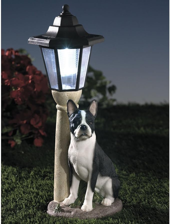 Bits and Pieces - Solar Dog Lantern-Solar Powered Garden Lantern - Resin Dog Sculpture with LED Light (Boston Terrier) - 13.5" Tall