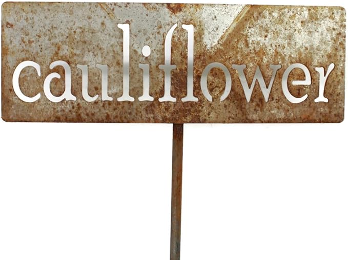 Classic Metal Garden Markers 19 Inches Tall (cauliflower, Naturally Rusted)