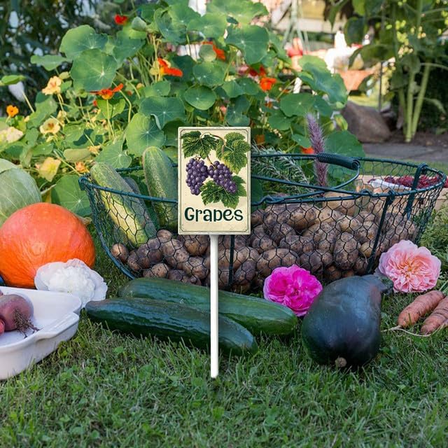 Uptell Vintage Aluminum Grapes Fruit Signs Yard Sign with Stake for Garden Fruit Garden Label Stakes Plant Markers for Outdoor Plants Waterproof 8x12 inch