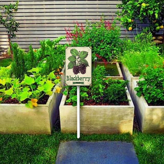 Uptell Vintage Aluminum BlackBerry Fruit Signs Yard Sign with Stake for Garden Fruit Garden Label Stakes Plant Markers for Outdoor Plants Waterproof 7x8.8 inch