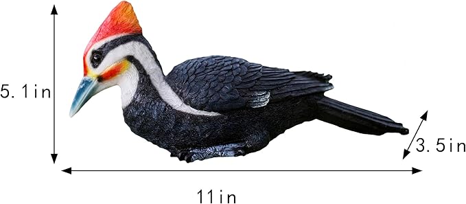 Simulated woodpecker sculpture outdoor resin bird statue, hanging tropical bird, Black-bellied Woodpecker sculpture perfect courtyard decoration, outdoor, courtyard, tree trunk,Large size: 11 inches