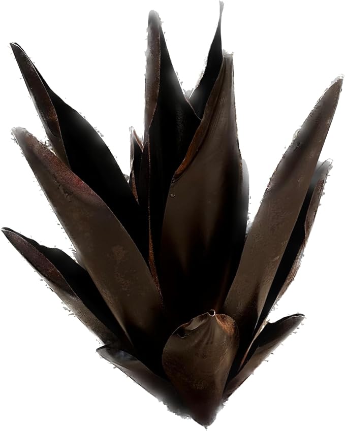 Handmade Rusted Metal Flame Agave Sculpture – Garden Art for Patio or Yard Decor (Large (19"))