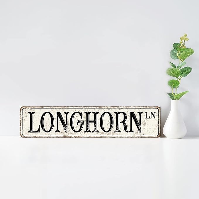 Madcolitote Personalized Longhorn Street Sign Vintage Longhorn Wood Signs Farmhouse Wall Art Rustic Wall Decorations for Living Room Home Decor for Home Bars Clubs Cafes Man Cave Party 4x18in