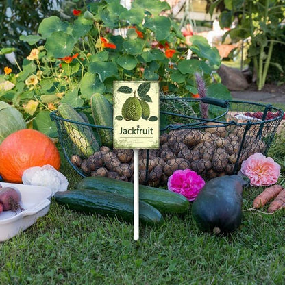 Uptell Vintage Aluminum Jackfruit Fruit Signs Yard Sign with Stake for Garden Fruit Garden Label Stakes Plant Markers for Outdoor Plants Waterproof 7x8.8 inch