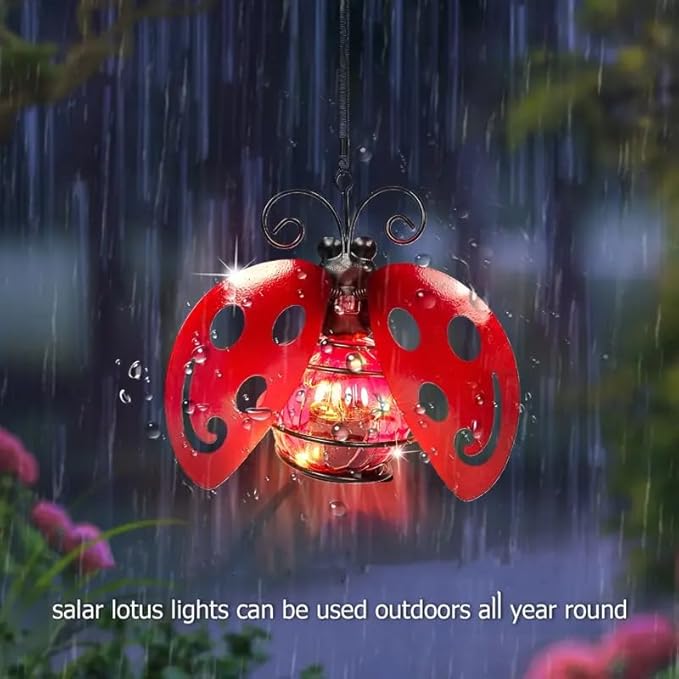 EVOLUX Solar Outdoor Ladybug Lights for Garden - Outdoor Statues Figurine Lights for Lawn, Patio, Balcony, Yard Ornament Cut Housewarming Gifts(2 pcs)