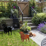 CXWLD Metal Dog Stake Statue Garden Lawn Black Labrador Silhouette Decoration Animal Sculpture Outdoor Decor Yard Sign for Yard Patio Backyard Pathway Sidewalk, 38x37CM (BLAC1)