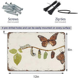 YOYI ART Butterfly Sign - Butterfly Metamorphosis Life Cycle, Vintage Metal Tin Sign for Bedroom, Garden, Girls Room, Outdoor, Patio Wall Art Decor, Gifts for Women Girls, 12 x 8 inch