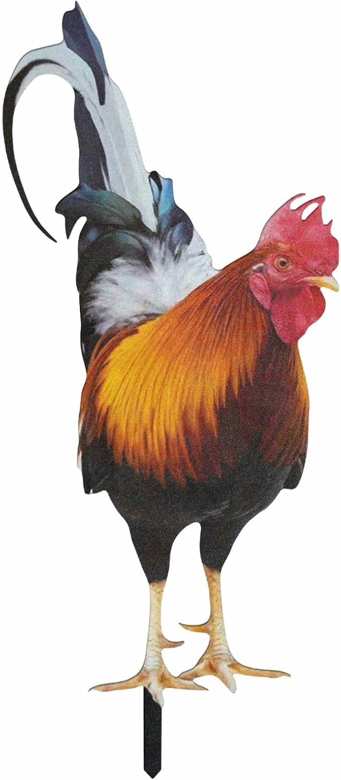 Decorative Garden Stakes,Chicken Decoration Grave Decorations for Cemetery (Chicken Decoration, 1 Pack)