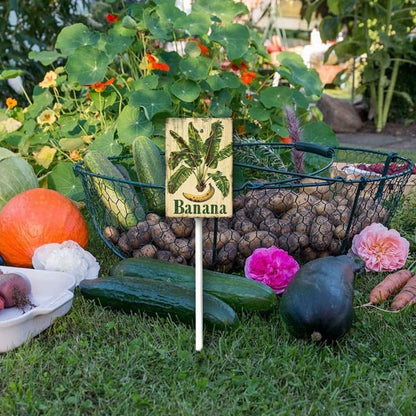 Uptell Vintage Aluminum Banana Fruit Signs Yard Sign with Stake for Garden Fruit Garden Label Stakes Plant Markers for Outdoor Plants Waterproof 7x8.8 inch