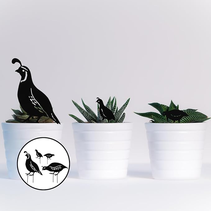 SEWACC 4pcs Iron Cast Animal Stake Statue Outdoor Quail Family Yard Decor Black Metal Quail Art Garden Quail Decor Bird Statue Lawn Backyard Outdoor Decoration