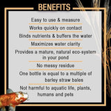 MICROBE-LIFT MLCBSE2L Concentrated Barley Straw Extract Conditioner for Ponds and Outdoor Water Garden, Safe for Live Koi Fish, Plants, and Decorations, 64 Ounces