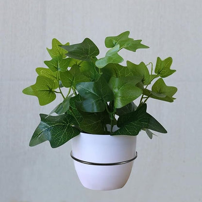 10 PCS 6 Inch Flower Pot Holder Ring, Wall Mounted Wall Plant Hanger, Collapsible Metal Wall Planter Holder for Indoor and Outdoor Plant Pots, Black