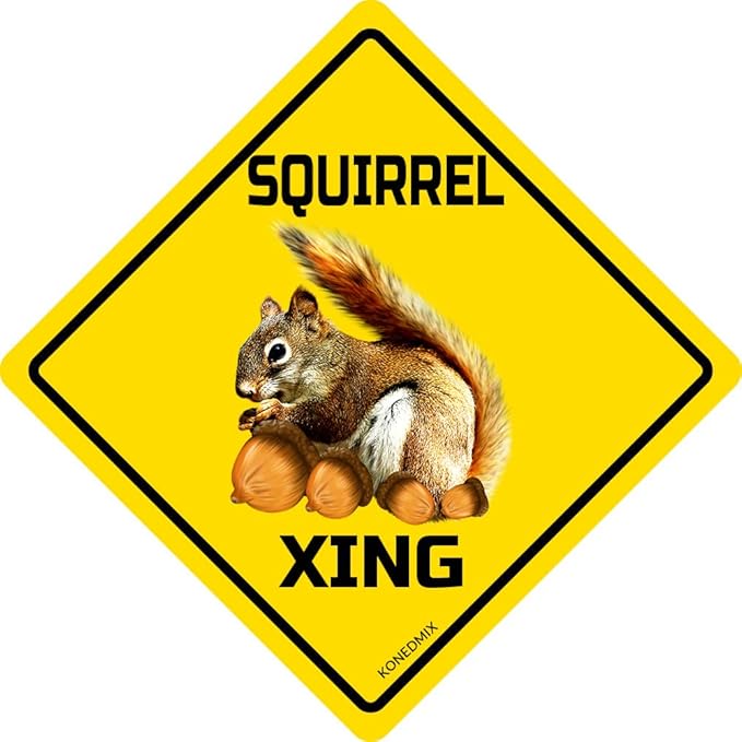 SQUIRREL Xing Crossing Sign Funny Novelty Metal Tin Sign for Bar Club Country Home Coffee Shop Indoor& Outdoor Decor Yellow Street Sign 12X12inch
