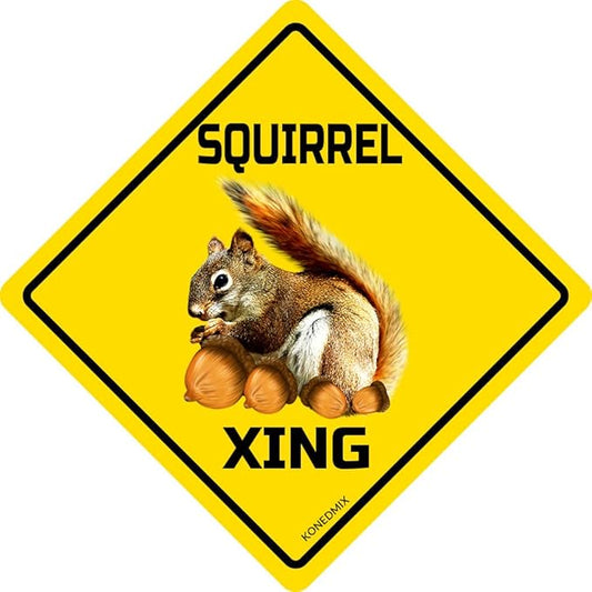 SQUIRREL Xing Crossing Sign Funny Novelty Metal Tin Sign for Bar Club Country Home Coffee Shop Indoor& Outdoor Decor Yellow Street Sign 12X12inch