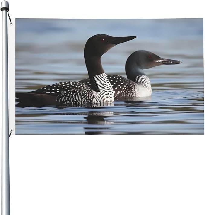 Loon Birds Flag 3x5 Ft Outdoor Heavy Duty Double Sided Garden Flag Vivid Color and Fade proof - Yard Flags for Outside Holiday Banner with Grommets, Wall Art Hanging Poster