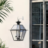 Metal Hanging Plant Hooks 6in 4Pack Decorative Wall Plant Hanger for Hanging Lanterns Bird Feeder Flower Basket Home Decor Indoor & Outdoor White