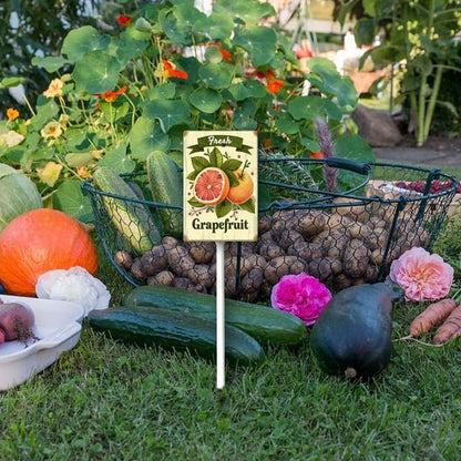 Uptell Vintage Aluminum Grapefruit Fruit Signs Yard Sign with Stake for Garden Fruit Garden Label Stakes Plant Markers for Outdoor Plants Waterproof 8x12 inch